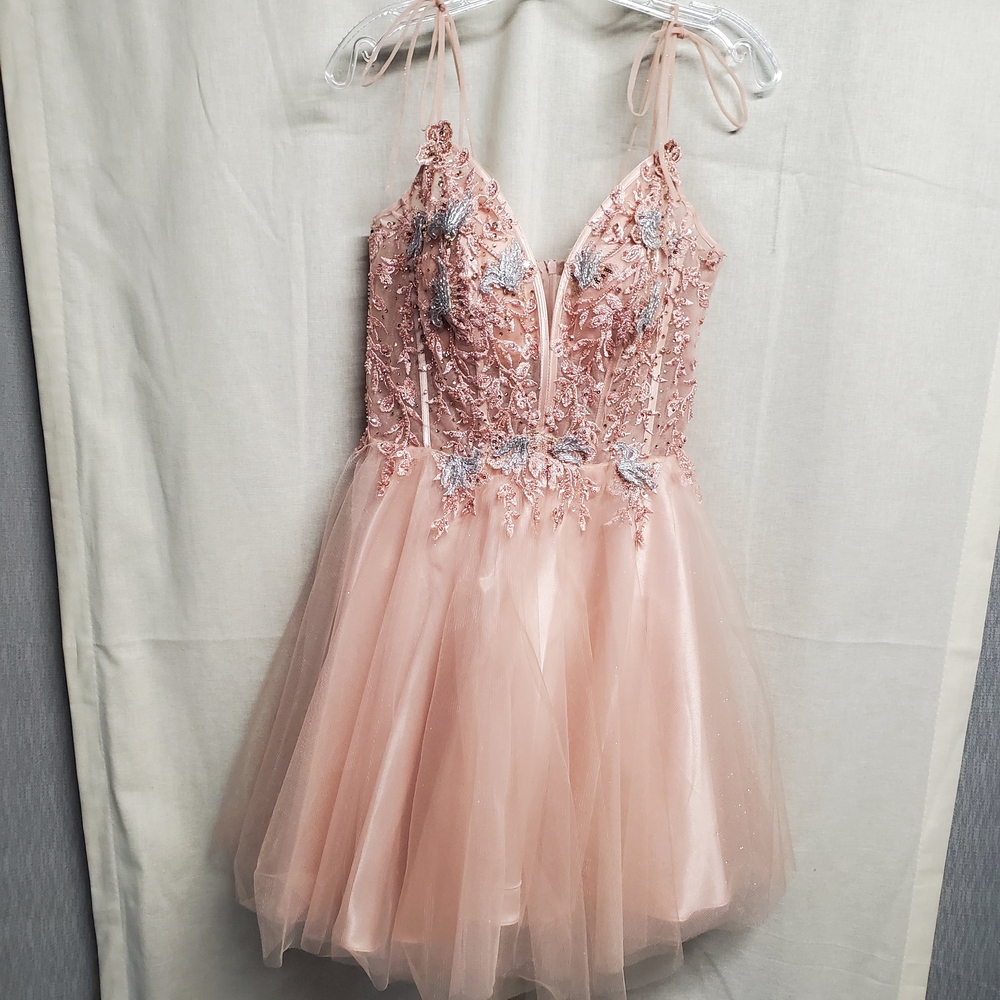 Cinderella Light Pink Mini Dress with Floral Embroidery